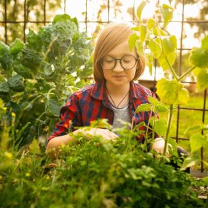 a-konyhakert-veszelyei